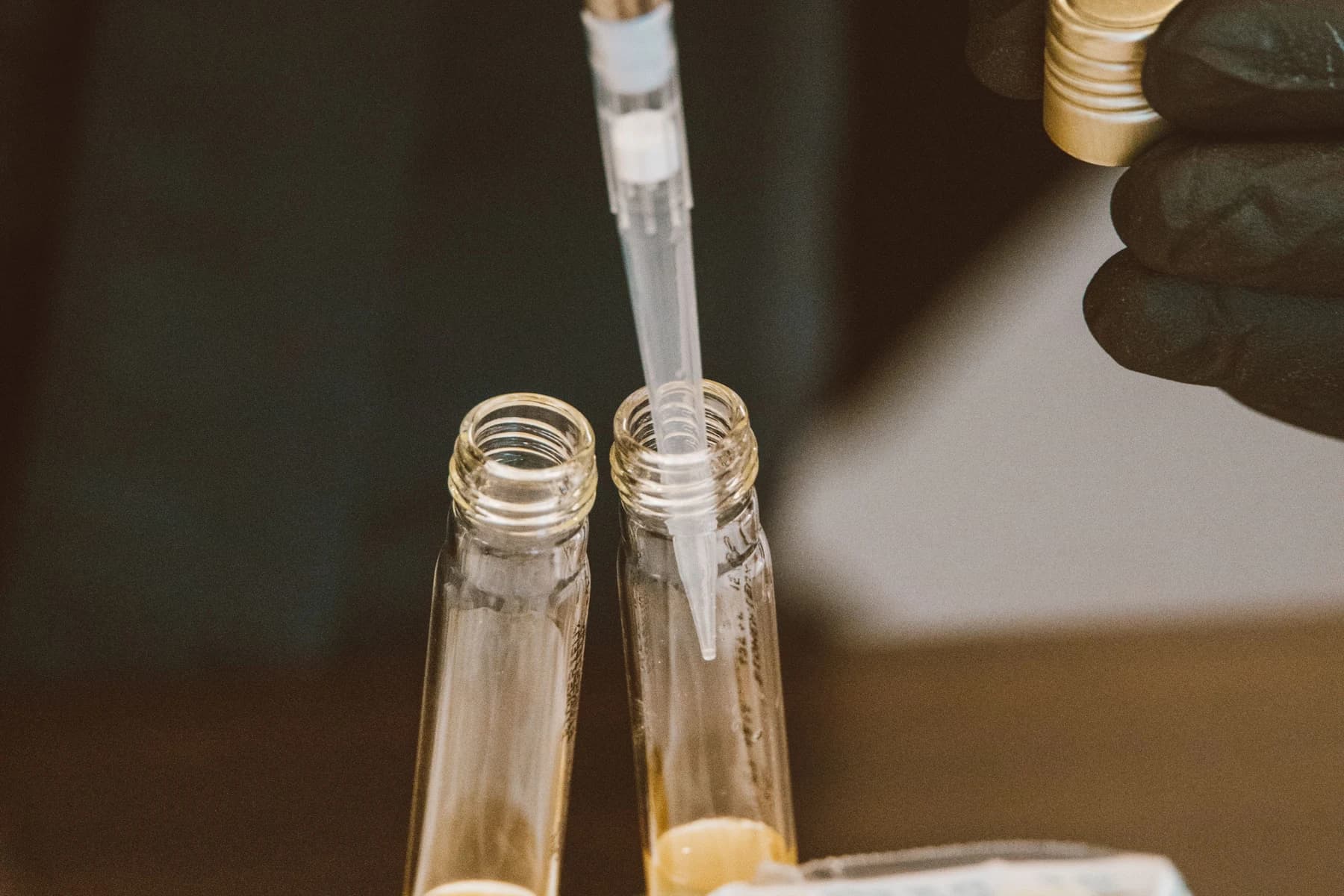 Eldivenli bir araştırmacının laboratuvar tüplerindeki örneklerle pipet kullanarak çalışması.